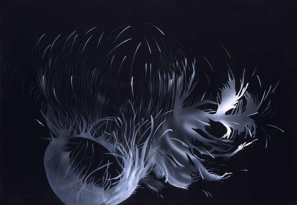 image of drawing Particle Fire 9 by artist Suzanne Walters
