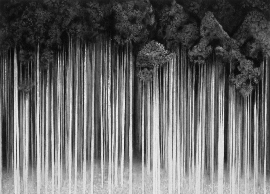 image of drawing Mac OSX Screensaver 1 by artist Suzanne Walters