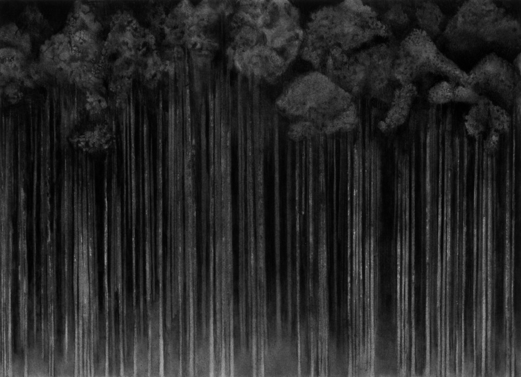 image of drawing Mac OSX Screensaver 1 (Dark) by artist Suzanne Walters