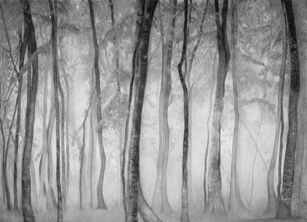 image of drawing Mac OSX Screensaver 2 by artist Suzanne Walters