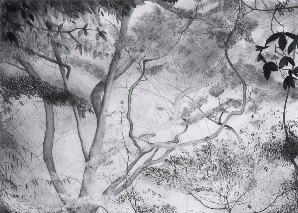 image of drawing Mac OSX Screensaver 3 by artist Suzanne Walters