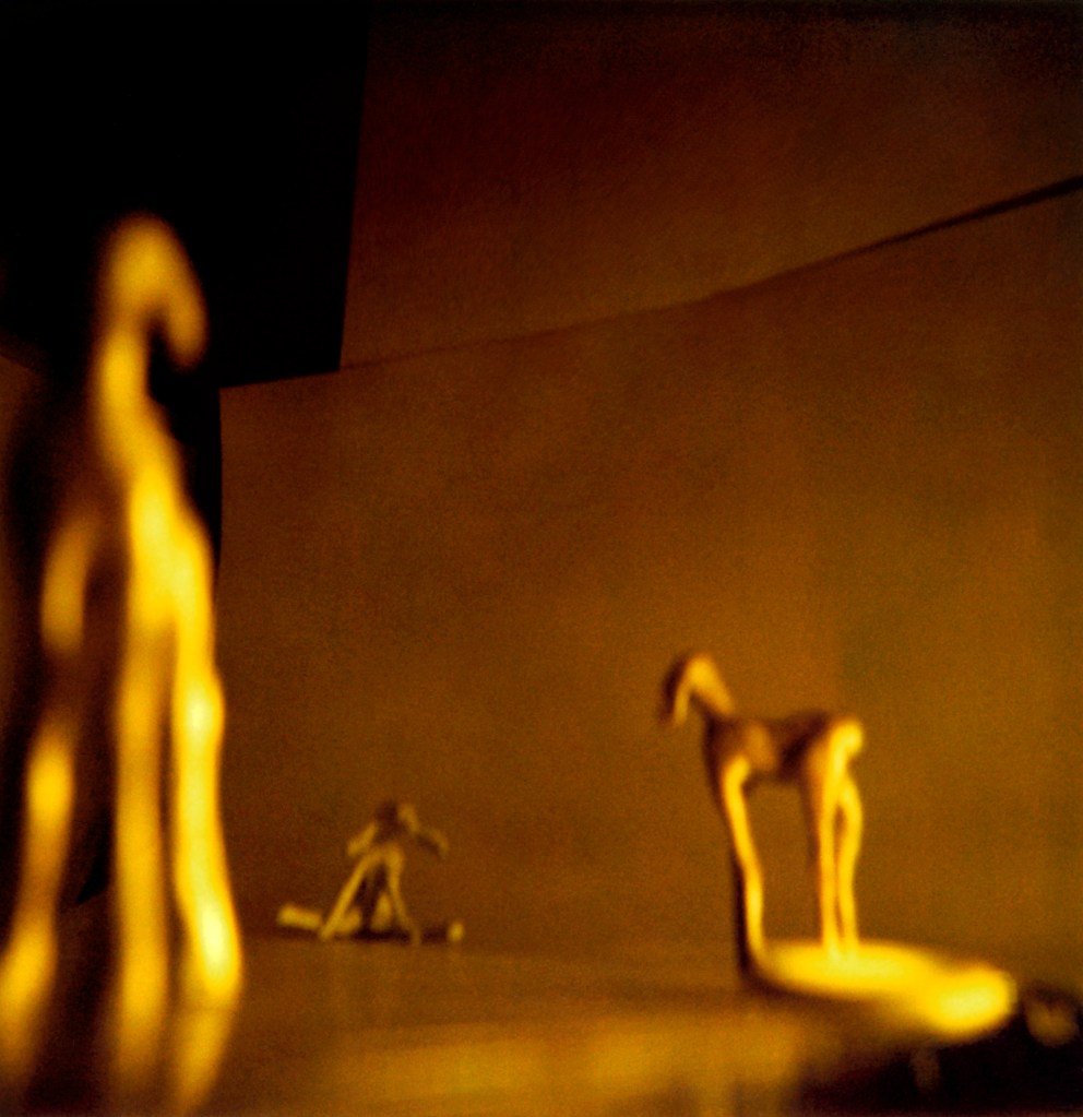 image of photograph Untitled 3 by artist Suzanne Walters 