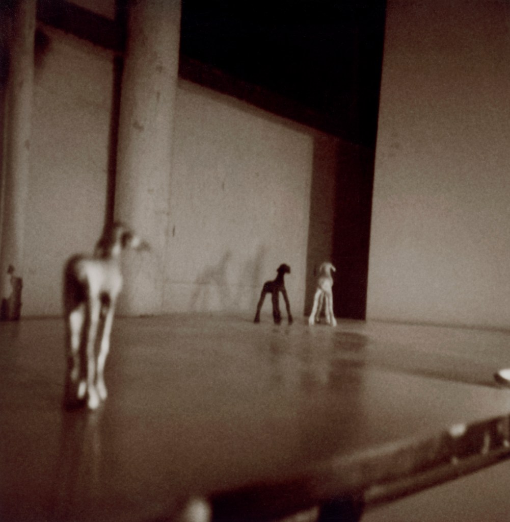 image of photograph Untitled 6 by artist Suzanne Walters