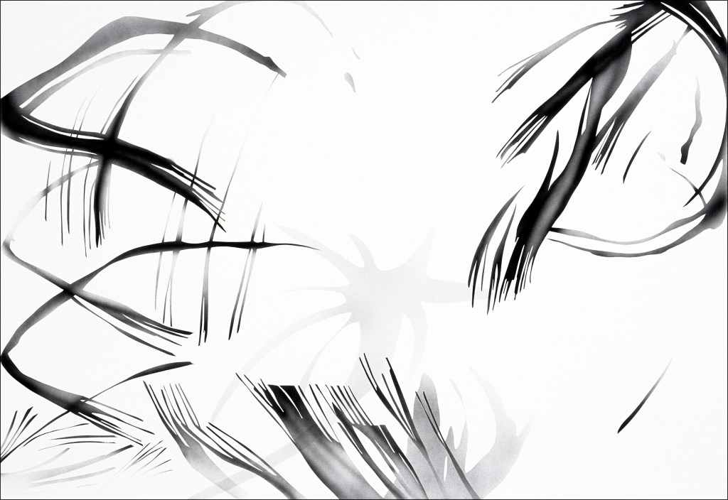 Drawing Particle Fire 6 (Action) by artist Suzanne Walters. Artwork is acrylic on paper.