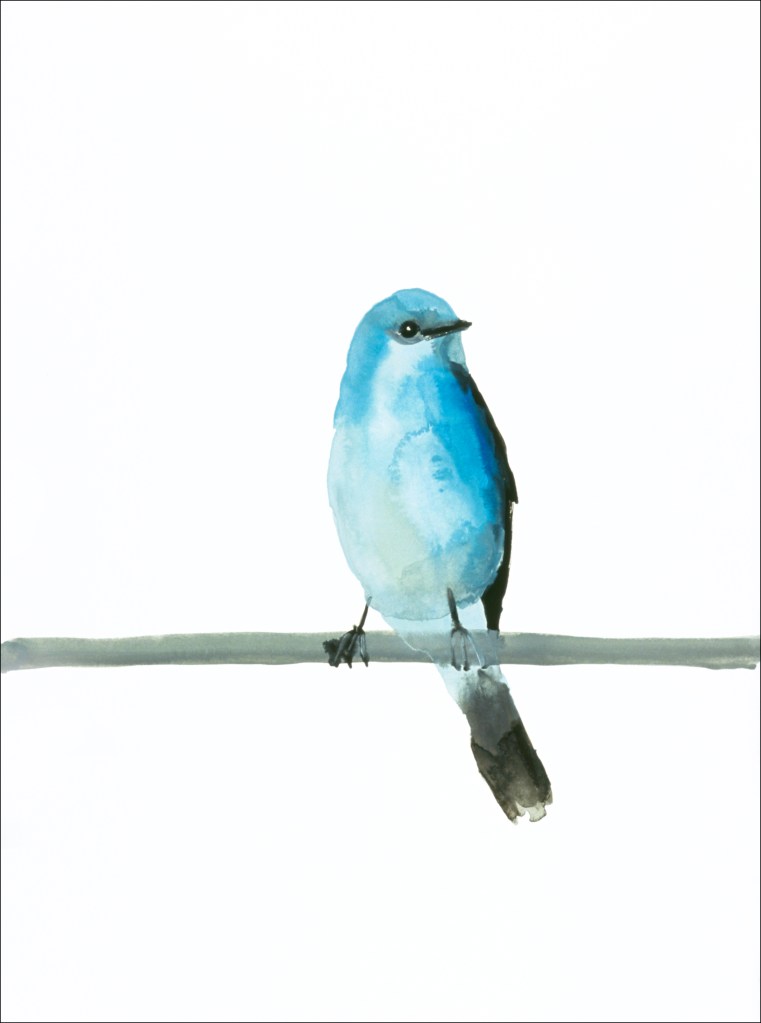 Watercolor painting Blue Bird by artist Suzanne Walters. Artwork is watercolor on paper.