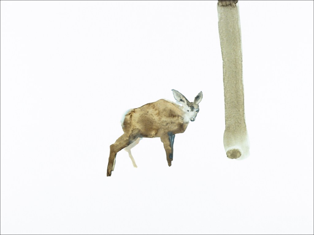 Watercolor painting Deer by artist Suzanne Walters. Artwork is watercolor on paper.