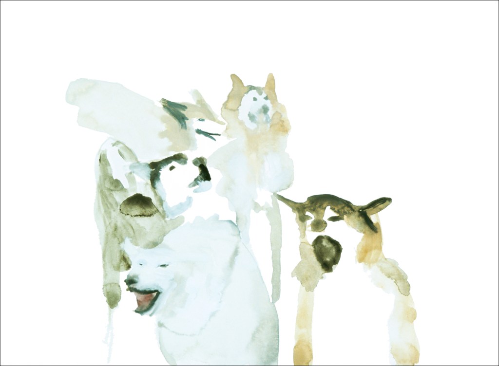 Watercolor painting Dogs by artist Suzanne Walters. Artwork is watercolor on paper.