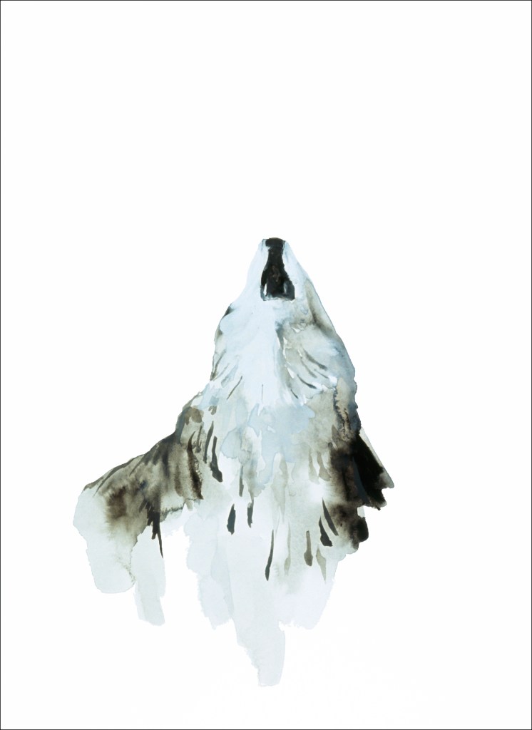Watercolor painting Wolf Howl by artist Suzanne Walters. Artwork is watercolor on paper.