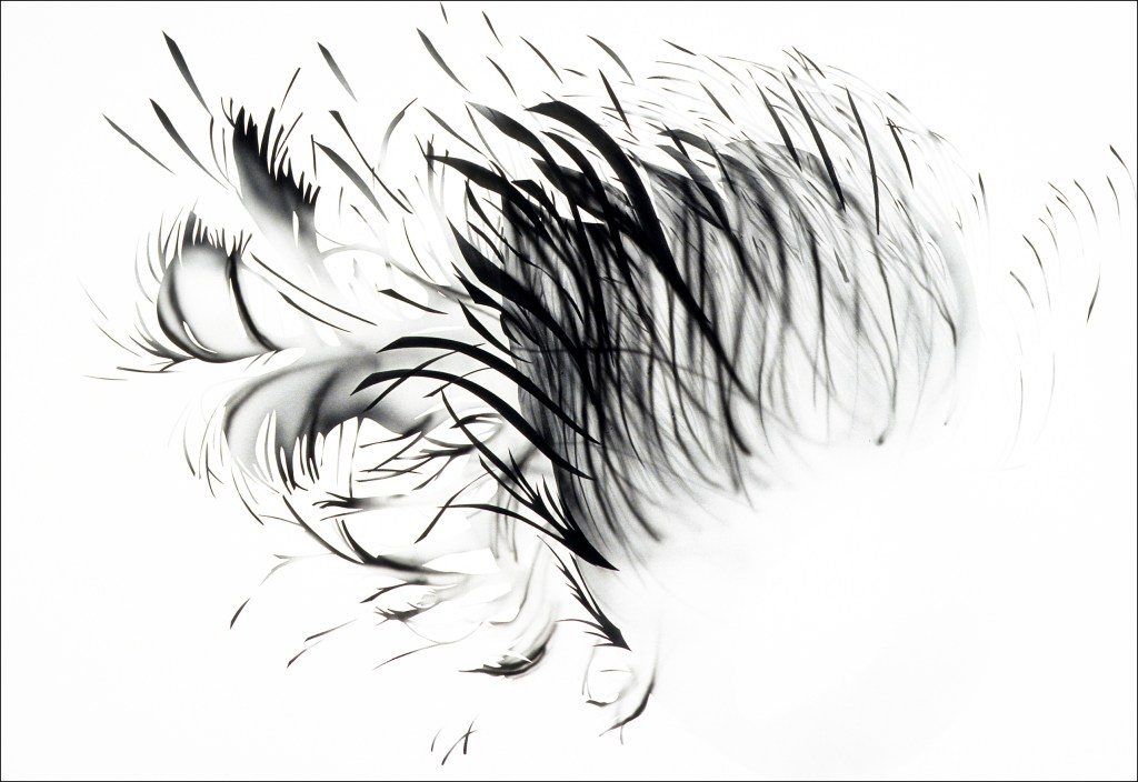 image of drawing Particle Fire 8 by artist Suzanne Walters