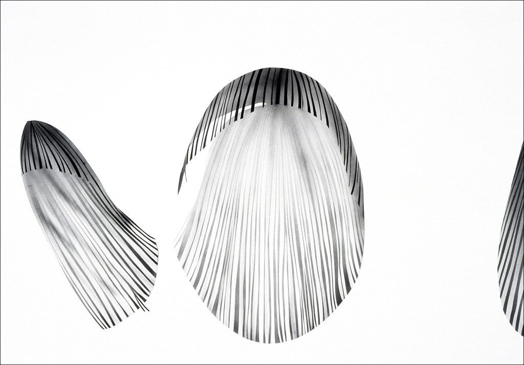 image of drawing Particle Fire 10 by artist Suzanne Walters